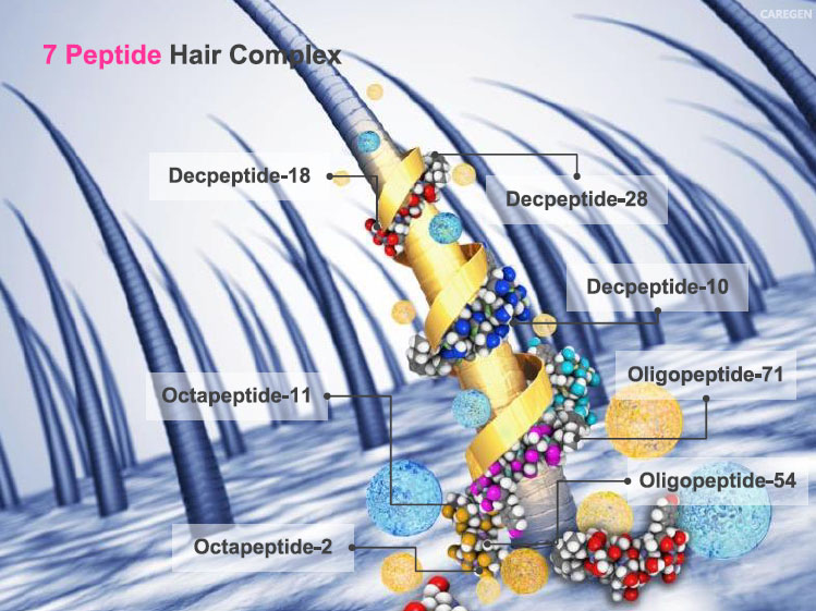 7 Peptide Hair Complex