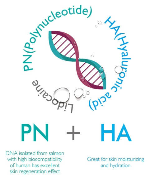 Polynucleotide + Hyaluronic acid